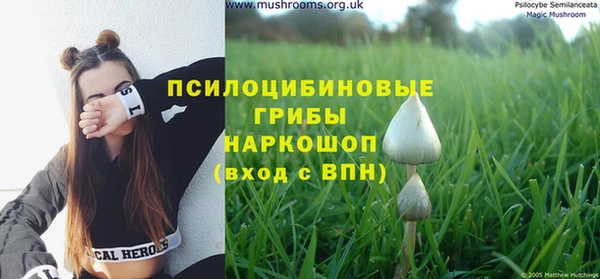 наркотики Магас